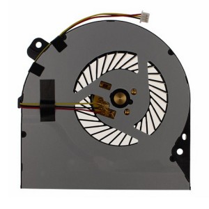 FAN-AS-13